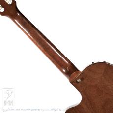 Gibson Chet Atkins CE AN (Nylon Strings)_6
