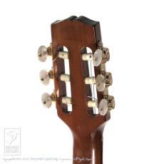Gibson Chet Atkins CE AN (Nylon Strings)_8