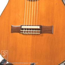 Gibson Chet Atkins CE AN (Nylon Strings)_10