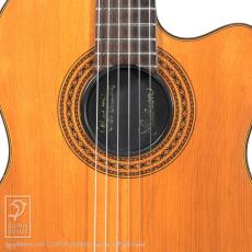 Gibson Chet Atkins CE AN (Nylon Strings)_11