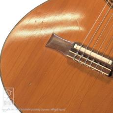Gibson Chet Atkins CE AN (Nylon Strings)_13