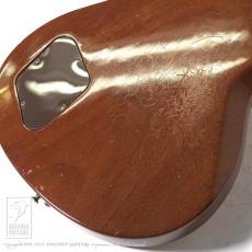 Gibson Chet Atkins CE AN (Nylon Strings)_14
