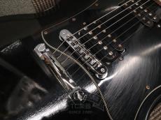 Gibson 2010 SG Special_14