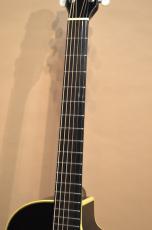 VG VG-00FX w/Highlander IP-1　2000年頃_6
