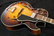 Eastman AR-175CE_3