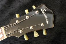 Eastman AR-175CE_10