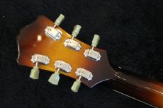 Eastman AR-175CE_11
