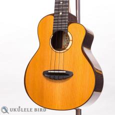 aNueNue aNN-UC214_2