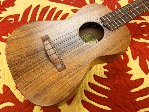 Kelii TEN-KSP【アキオオリジナル】