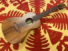 Kelii TEN-KSP【アキオオリジナル】_2