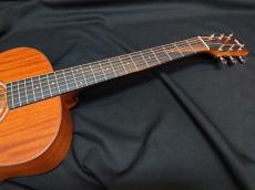 Taylor GS Mini Mahogany_7