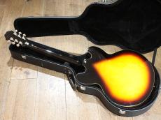 Epiphone DOT_3