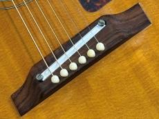 Epiphone Elite 65 TEXAN_10
