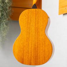 Pono MSD Soprano_9