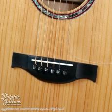 M.Shiozaki Model F Custom Metasequoia【48回無金利対象品】_6