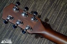 Godin Radiator Bourbon Burst / LED【LED特別仕様!】_7