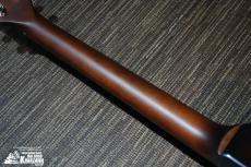 Godin Radiator Bourbon Burst / LED【LED特別仕様!】_8