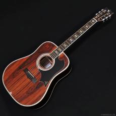 K.Yairi YW-800G_2