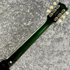 FUJIGEN Neo Classic NLS100RMPTB-CAG ~Candy Apple Green~ #A250263 [4.11kg]_10