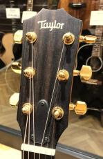 Taylor 224ce-K DLX_3