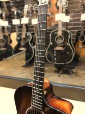 Taylor 224ce-K DLX_4