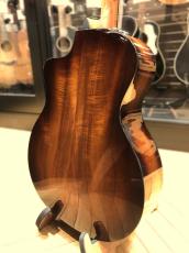 Taylor 224ce-K DLX_5