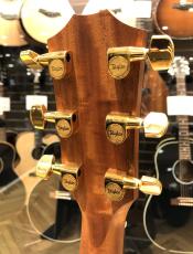 Taylor 224ce-K DLX_7