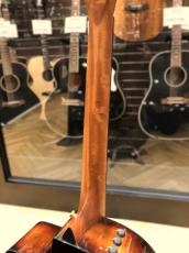 Taylor 224ce-K DLX_8