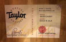 Taylor 224ce-K DLX_9