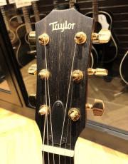 Taylor 222ce-K DLX_3