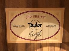 Taylor 222ce-K DLX_7