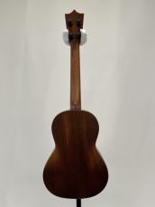 Martin T1 Street Master Uke # 37898【マホガニー】【テナー】_5