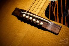 Gibson Nick Lucas Koa Elite / 2015_6