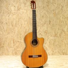 K.Yairi CE-1 2011_3