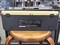 YAMAHA THR10II_4