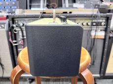 YAMAHA THR10II_6