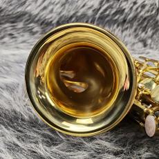 YANAGISAWA SC900_4