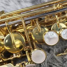 YANAGISAWA SC900_9