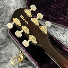 Gretsch 7670 Chet Atkins Country Gentleman 1973年製_8