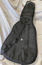 RITTER アコギ用ケース_3