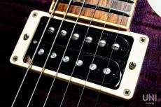 Gibson Les Paul Axcess Standard / 2013_3