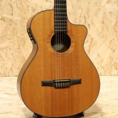 Taylor NS-32CE 2002