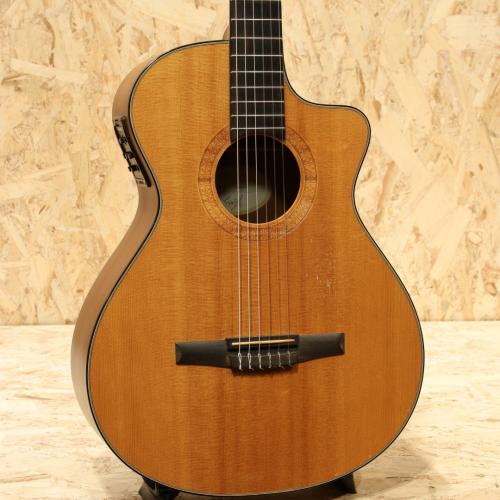 Taylor NS-32CE 2002