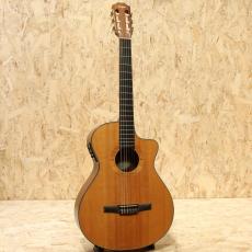 Taylor NS-32CE 2002_3