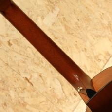 Taylor NS-32CE 2002_7