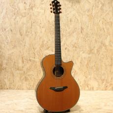 Furch Guitars G23-CRCT 2009_3