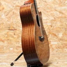 Taylor 314ce Studio Shaded Edgeburst_4