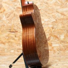 Taylor 314ce Studio Shaded Edgeburst_5