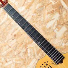 Godin Multiac Nylon SA NAT w/Roland GR-55_4