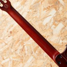 Godin Multiac Nylon SA NAT w/Roland GR-55_5